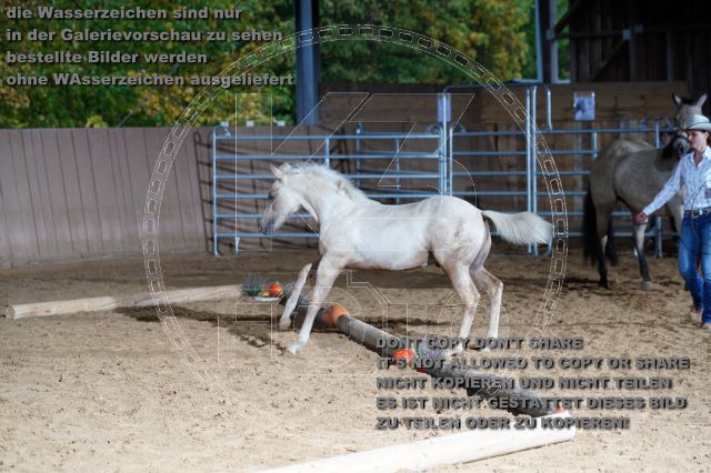 s_K3F04876.JPG